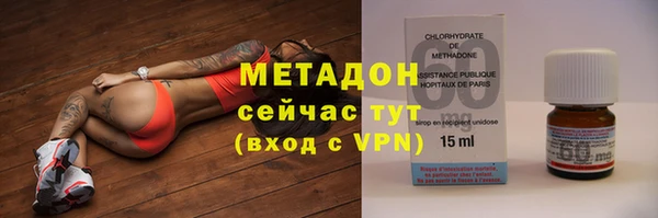 PSILOCYBIN Аркадак
