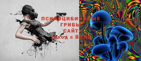 PSILOCYBIN Аркадак