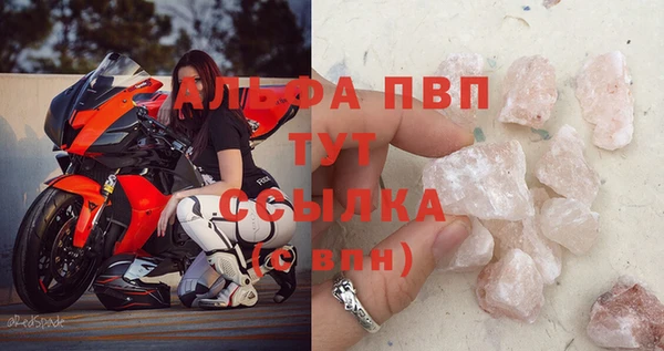 PSILOCYBIN Аркадак