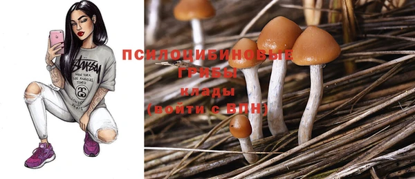 крисы Балабаново