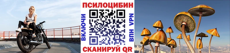 Галлюциногенные грибы Psilocybe  Борзя 