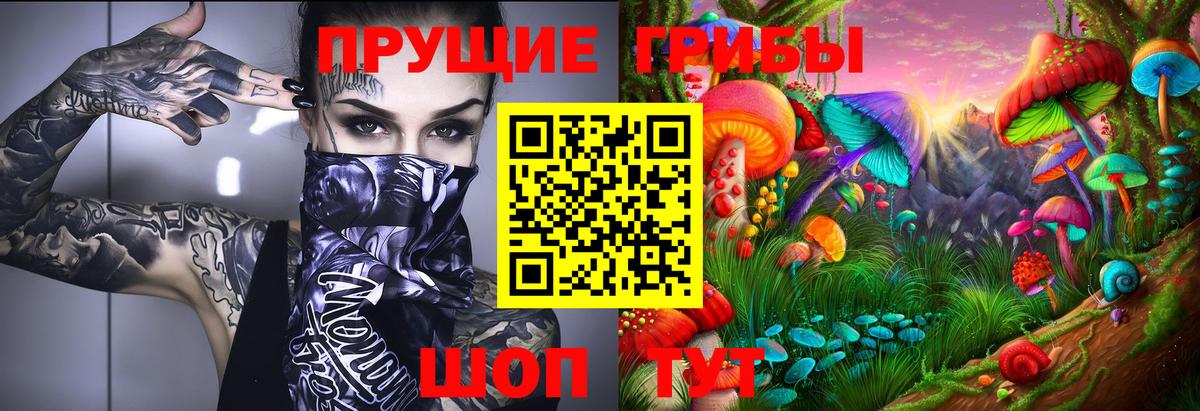 Псилоцибиновые грибы Psilocybine cubensis Борзя