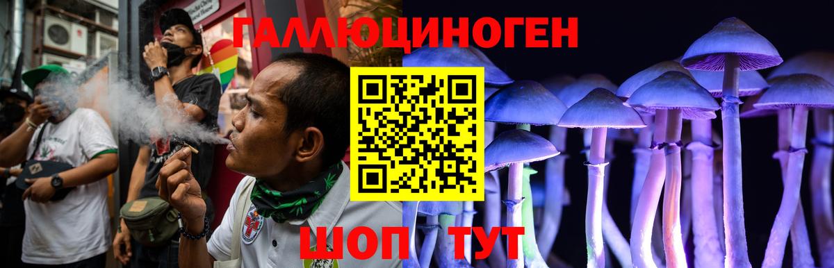 где купить наркотик  Псилоцибиновые грибы Magic Shrooms  Вход с VPN  Борзя 
